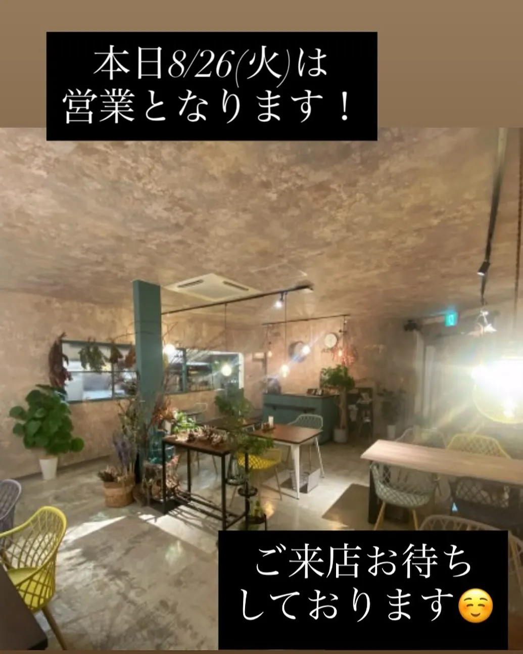 本日は営業日です！